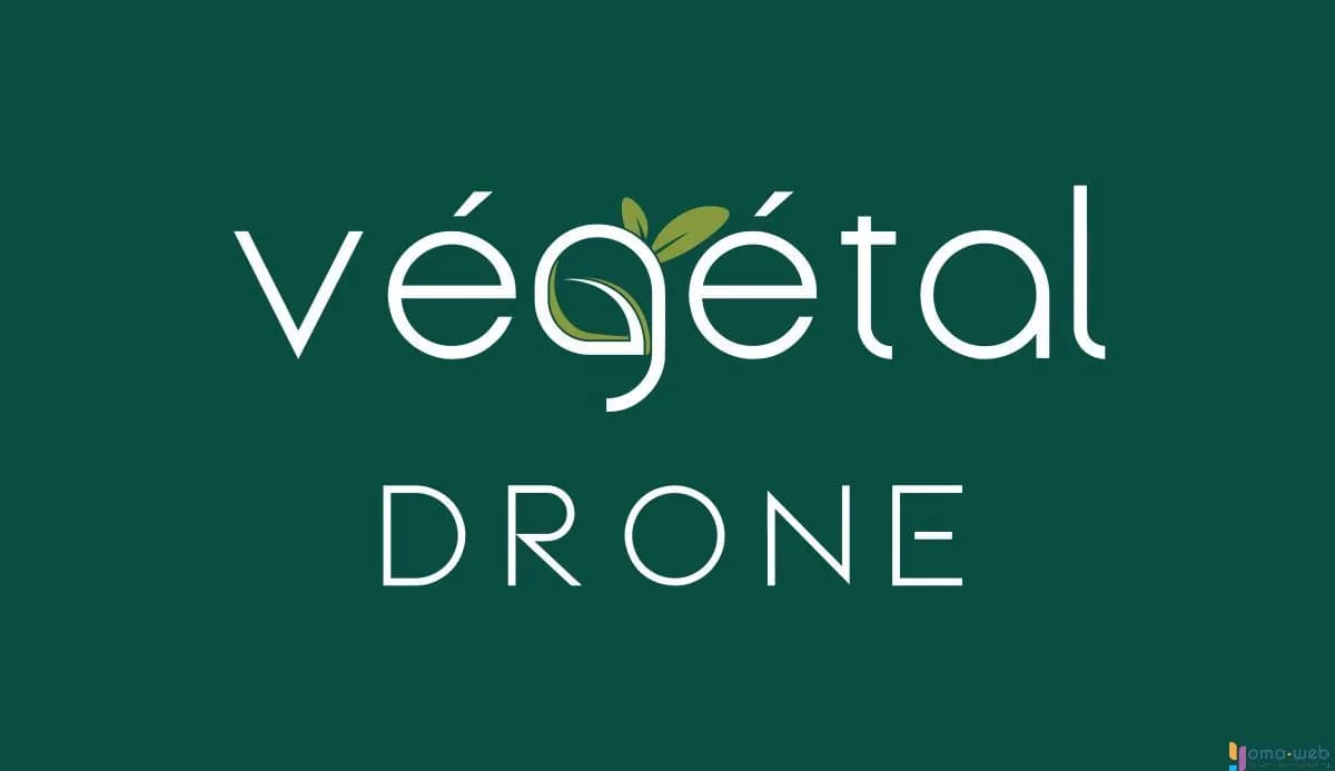 Charte graphique et logo Végétal Drone